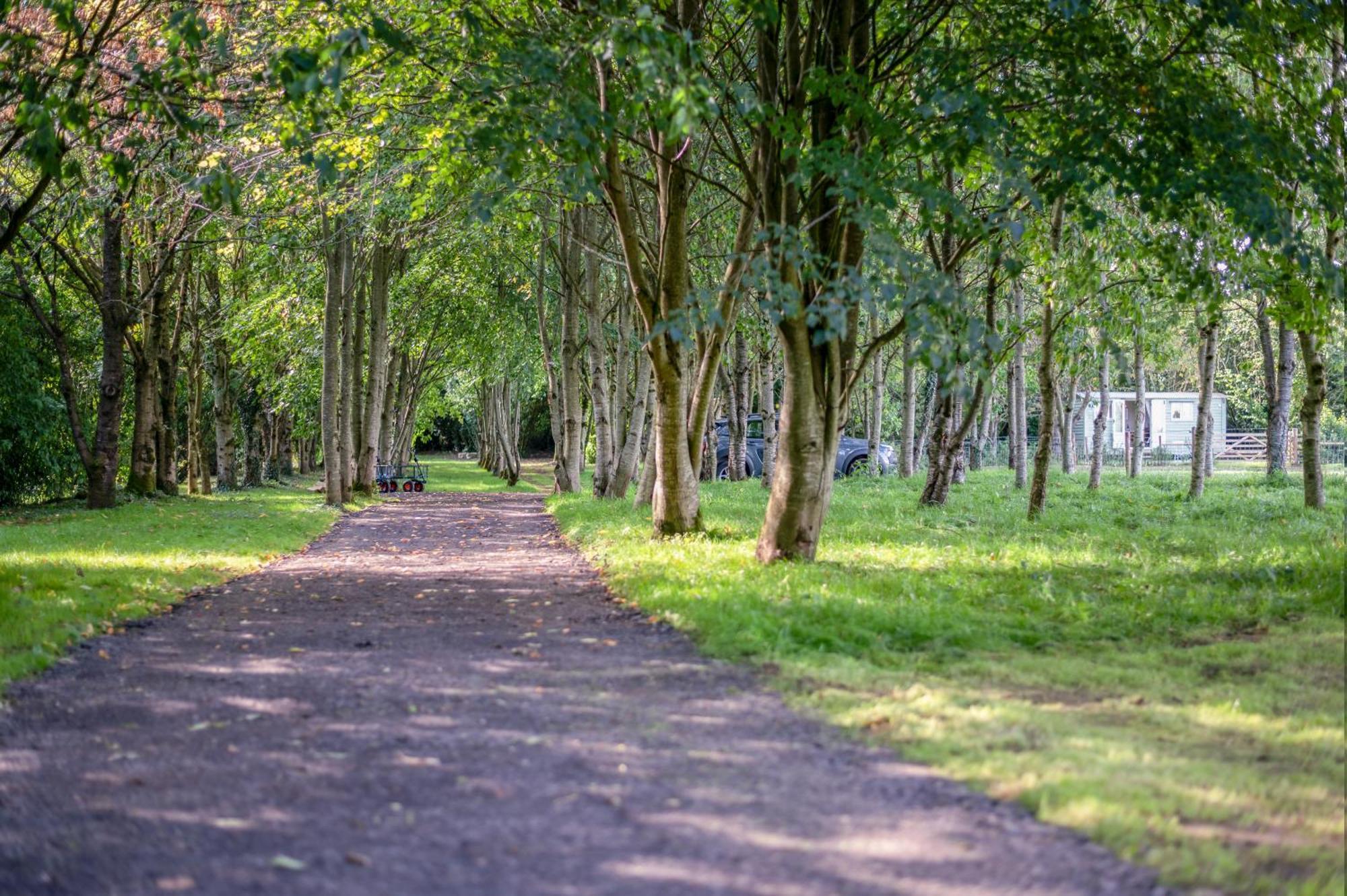 Great Ashley Farm Bed And Breakfast & Shepherds Huts Bradford-On-Avon Ngoại thất bức ảnh