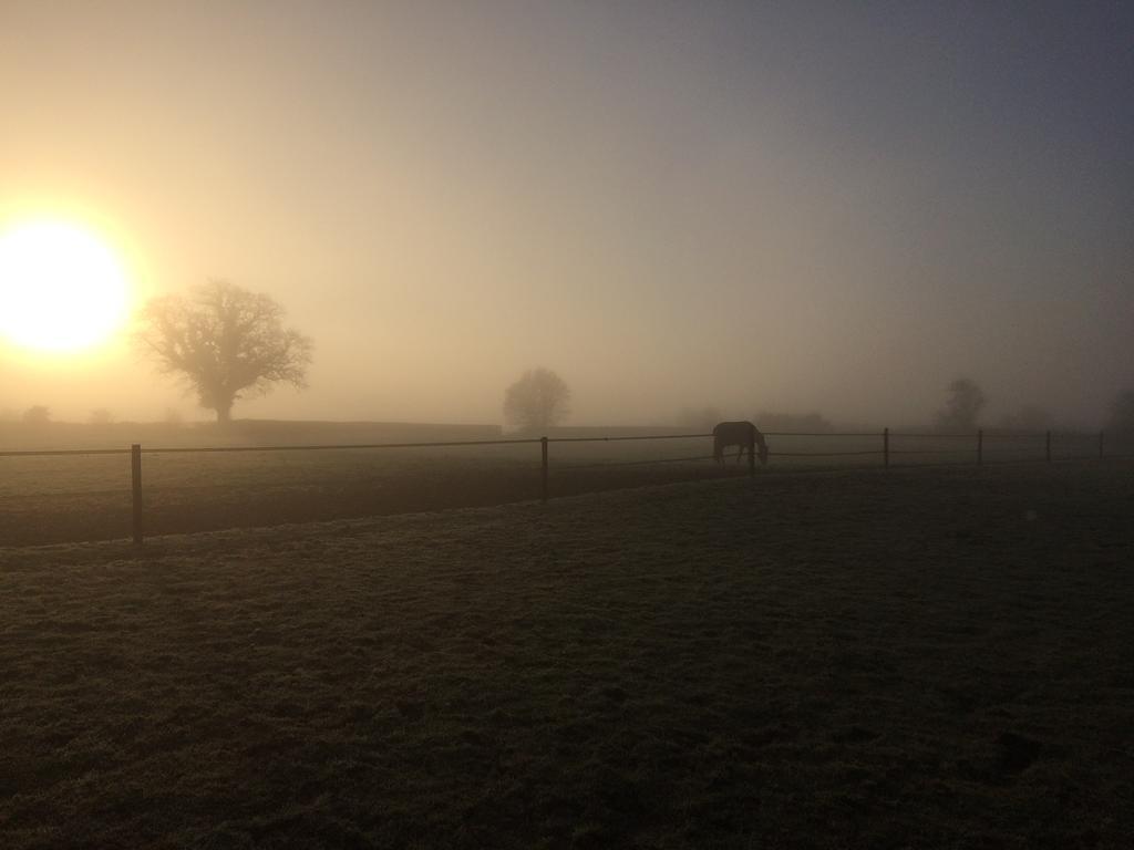 Great Ashley Farm Bed And Breakfast & Shepherds Huts Bradford-On-Avon Ngoại thất bức ảnh