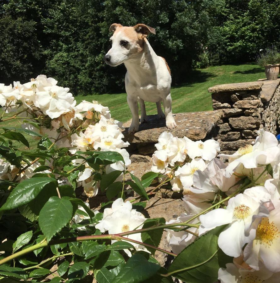 Great Ashley Farm Bed And Breakfast & Shepherds Huts Bradford-On-Avon Ngoại thất bức ảnh